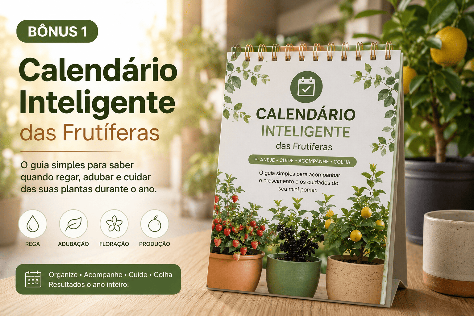 Bônus 1 — Calendário de Rega